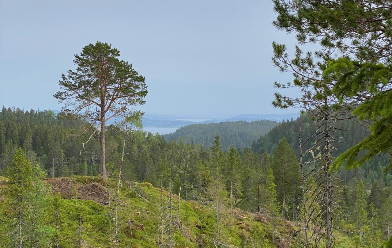 Fjellstad Gard - 2 Minutes From E6 And 5 Minutes Drive From Steinkjer City 빌라 외부 사진