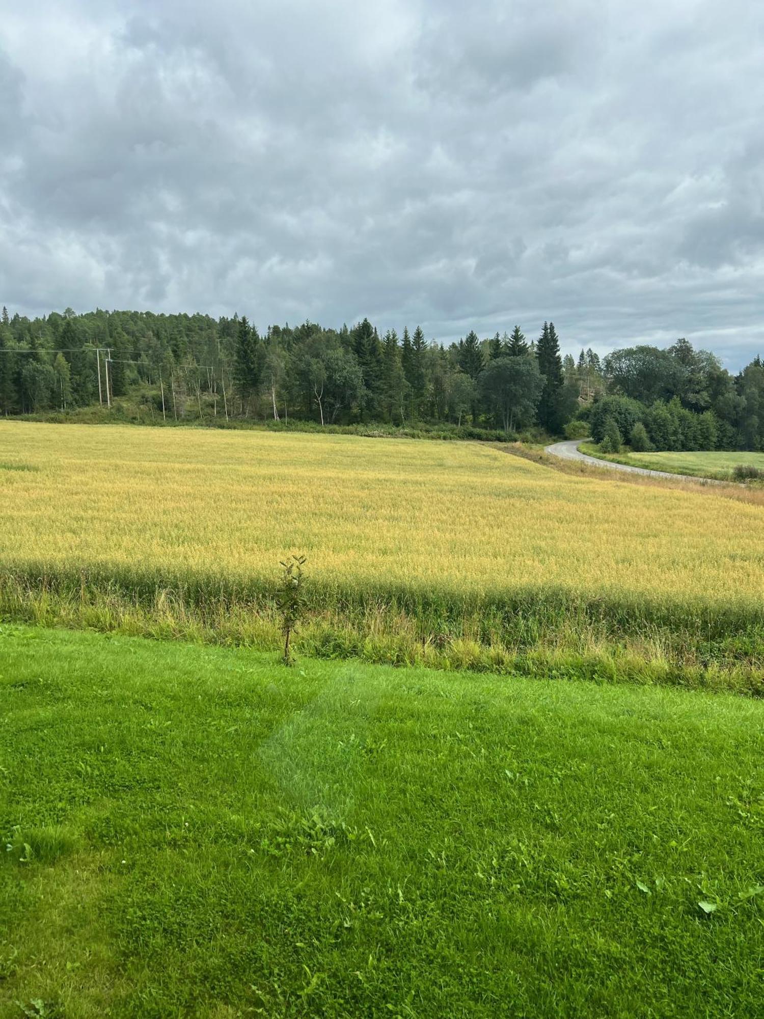 Fjellstad Gard - 2 Minutes From E6 And 5 Minutes Drive From Steinkjer City 빌라 외부 사진